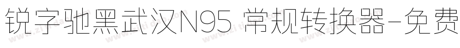 锐字驰黑武汉N95 常规转换器字体转换